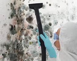 Best Forensic Mold Investigation  in Itta Bena, MS